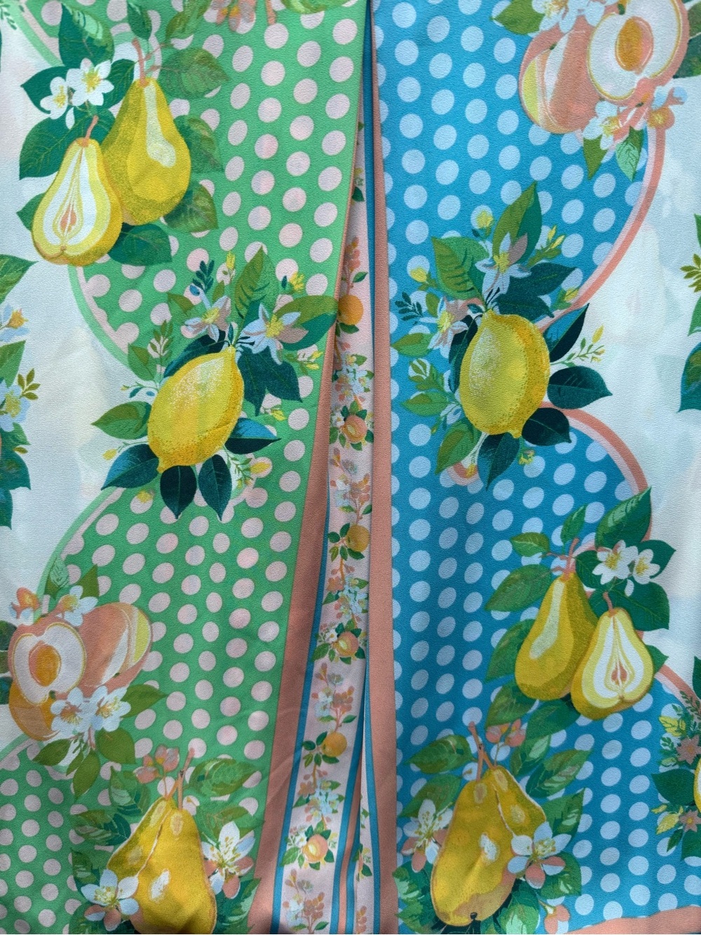 Rose & Olive Yellow Green Blue Fruit-Print Button Down Shirt - Picture 15 of 16